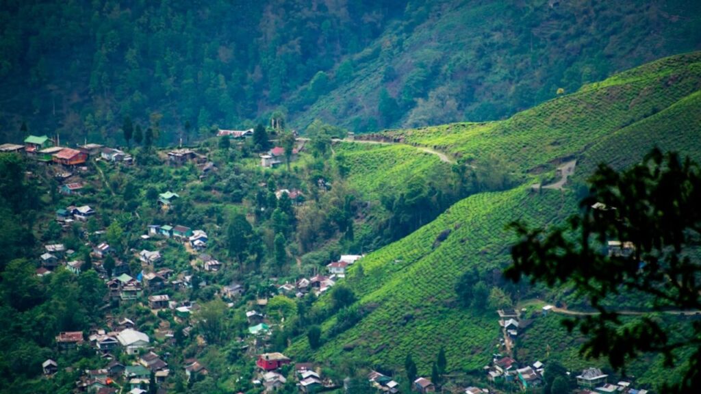 darjeeling