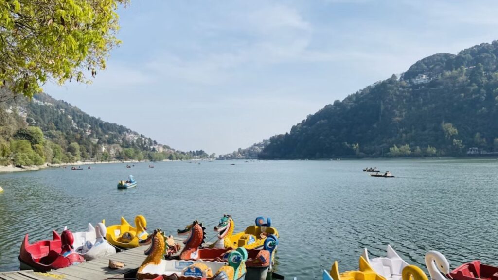 nanital