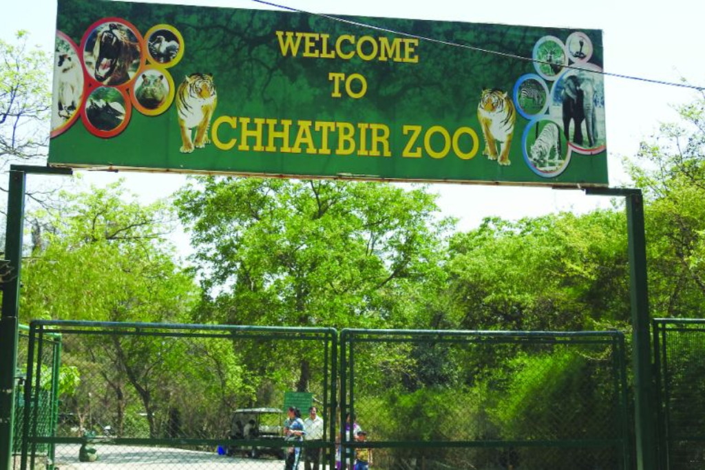 chhatbir zoo