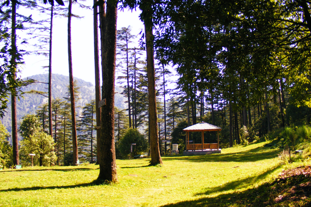 dhanaulti